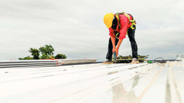 Best Emergency Roof Repair Services  in Fruitland, IA