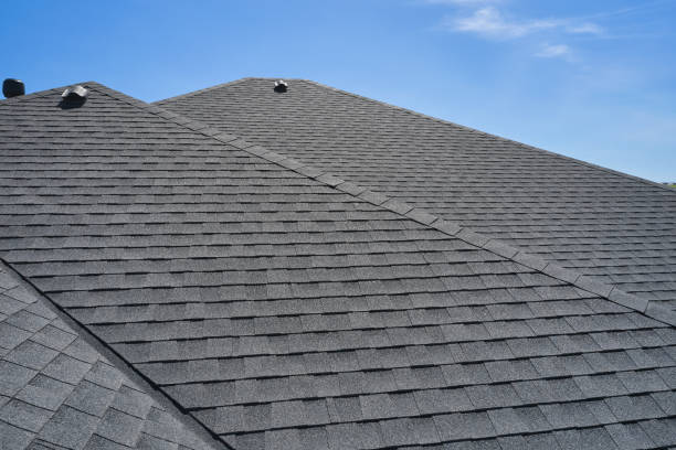 Best Steel Roofing  in Fruitland, IA